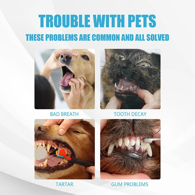 Pet Toothpaste For Dogs To Freshen Their Breath, Remove Removal Bad Breath And Tartar, Clean Cats Oral Care Edible Pet Supplies